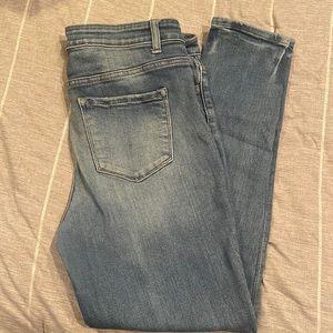 Flying Monkey Skinny